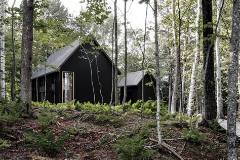 Anything with those two involved and you're definitely going to see something unique. Black cabin in the woods built in forest of Quebec - Curbed