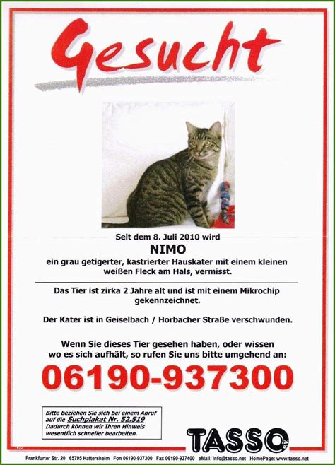 Vermisstenanzeige Katze Vorlage Phänomenal Der 2 Jährige Kater Nimo