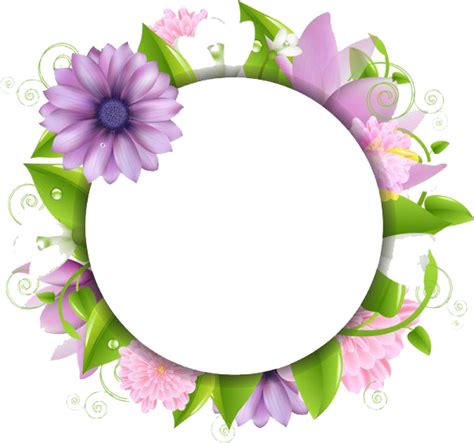 Flowers Borders Png Transparent Images Png All