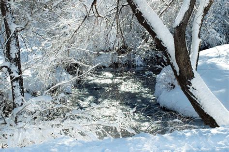Park And Stream In Winter Snow Stock Photo Image Of Winter Natural