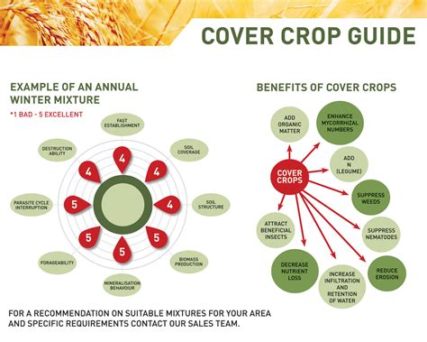 Benefits Of Cover Crops