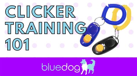 Introduction To Clicker Training Youtube