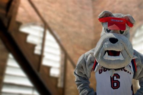 A Special Message From Spike The Gonzaga Bulldog