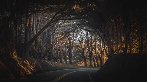 Download Road Highway Forest Tree Nature Dark Wallpaper 1366x768
