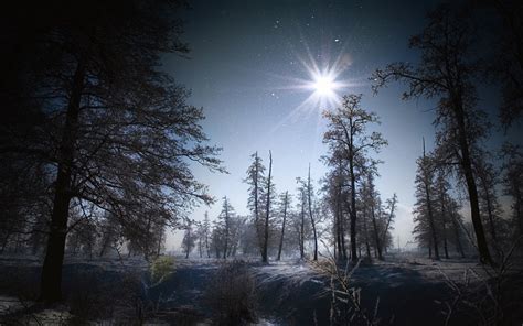Flakes Winter Snow Night Moon Light Landscapes Trees Forest Wallpaper