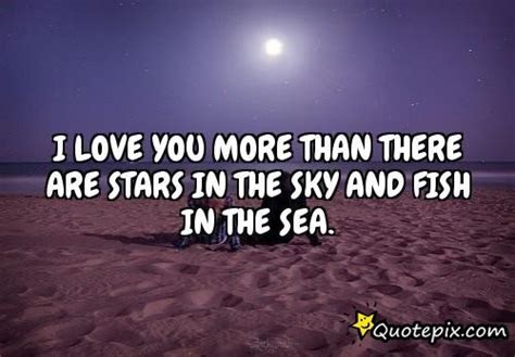 Stars In The Sky Quotes Quotesgram