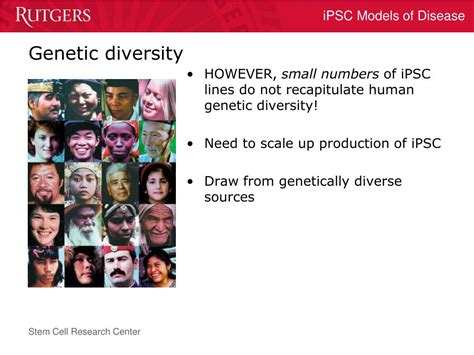 Ppt Induced Pluripotent Stem Cells As Models Of Human Genetic