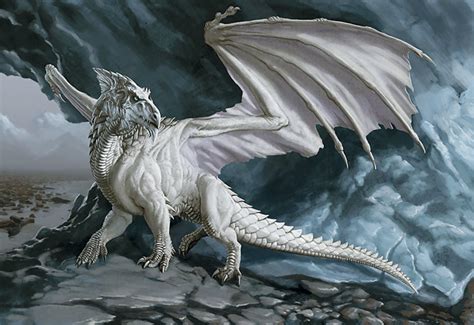 White Dragon Dungeons And Dragons Lore Wiki Fandom