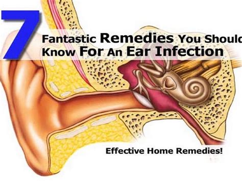 7 Fantastic Remedies You Should Know For An Ear Infection
