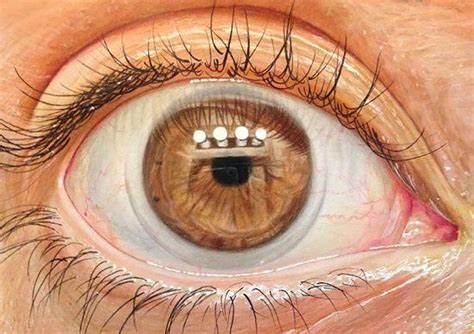 Hyper Realistic Eye Drawing By José Vergara Eye