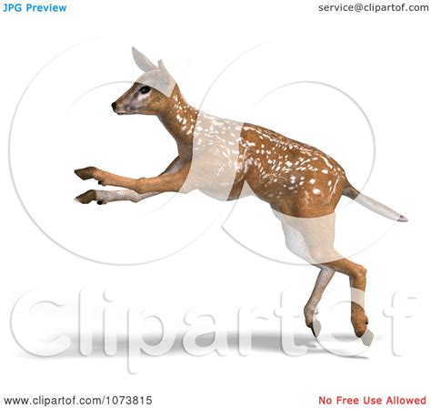 Clipart 3d Baby Yearling Deer Fawn Running 1 Royalty Free Cgi