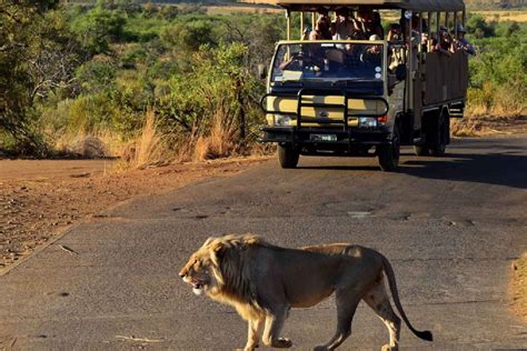Pilanesberg Full Day Shared Safari With Sun City Visit In Johannesburg