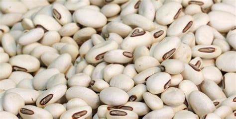 Substitute for Navy Beans | LIVESTRONG.COM