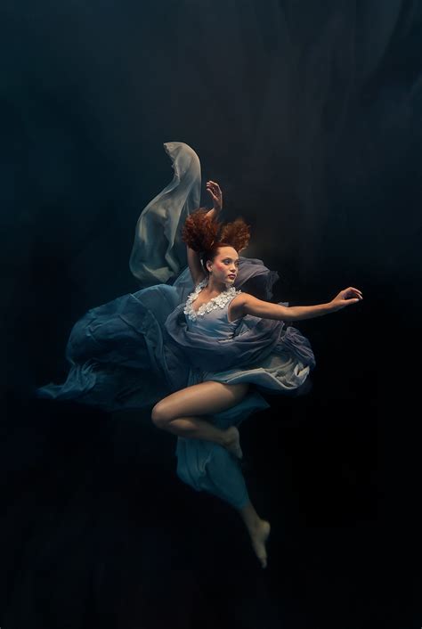 Silver Swallow A Majestic Underwater Photography Series By Ilse Moore