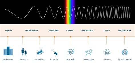 The Electromagnetic Spectrum - 8TH GRADE SCIENCE