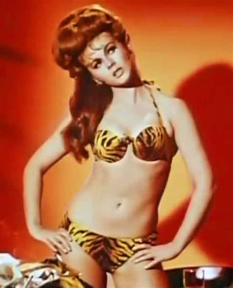 pin by jesús el teddy on ann margret ann margret ann margret photos