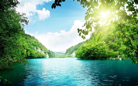 Blue River Water And Wonderful Green Nature Hd Wallpaper
