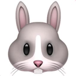 Rabbit Face Emoji U F