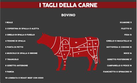 I Tagli Della Carne Bovina