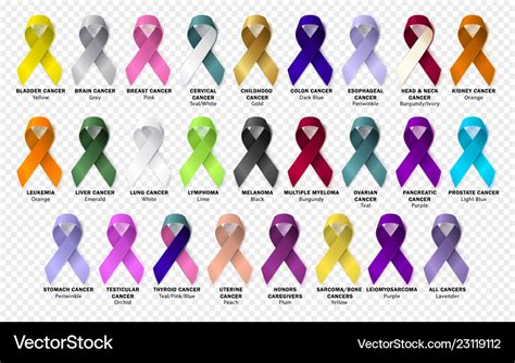 Set Ribbon All Cancers Cancer Awareness Ribbons Vector Image