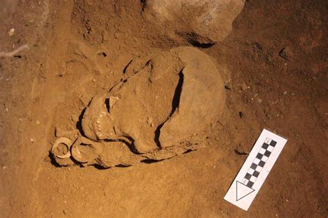 Ancient Human Remains Unearthed By Archaeologist Nexus Newsfeed