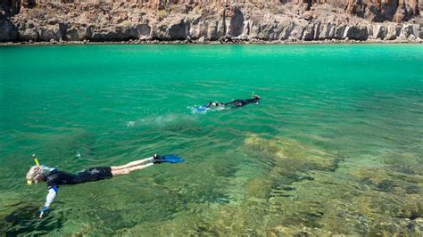 Ultimate Loreto Kayaking Whale Watching Snorkeling Trip