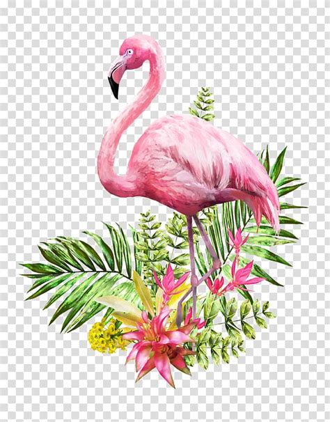 55 Top Summer Transparent Background Flamingo Clipart