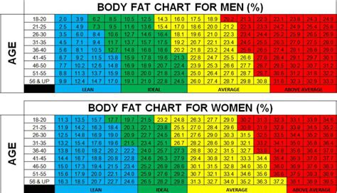 Body Fat Percentage Chart By Age And Gender Chart Walls The Best Porn