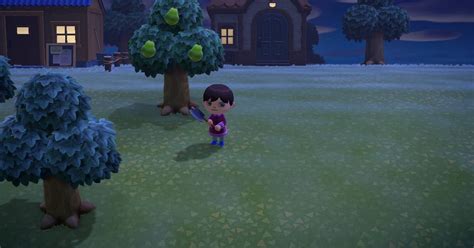 Animal Crossing New Horizons How To Get An Axe Vg247