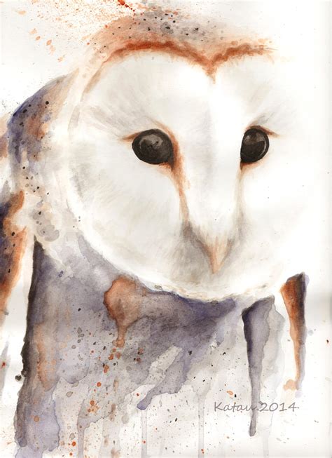 Tyto Alba By Katau On Deviantart