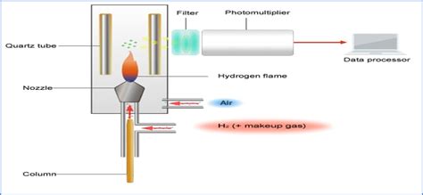 Gas Chromatography Detector Type Of Gc Detectors Pharmasciences