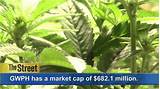 Marijuana Companies Stock Prices Images