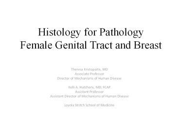 Ppt Histology For Pathology Female Genital Tract And Breast Powerpoint Presentation Free To
