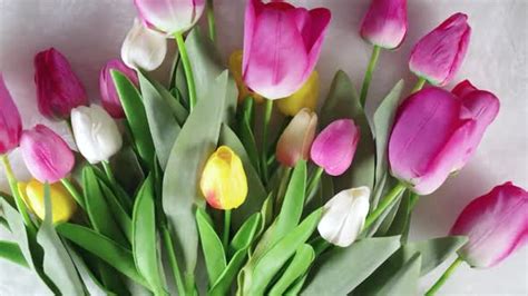 Large Bouquet Spring Holiday Tulip Flowers By Rimmabondarenko Videohive