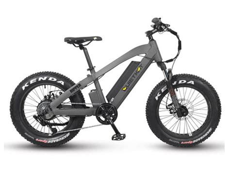 Quietkat Ripper 500 Watt Fat Tire Electric Mountain Bike Portable4life