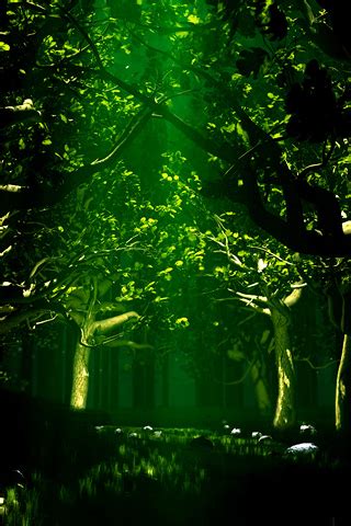 Usually, the owners choose to change. Green Forest iPhone Wallpaper | iDesign iPhone