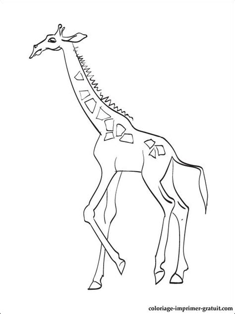 Coloriage Girafe Gratuit à Imprimer Liste 60 à 80