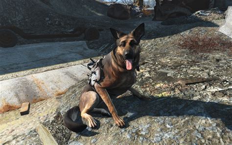 Short Coated Black And Tan Dog Fallout 4 Dogmeat Video Games