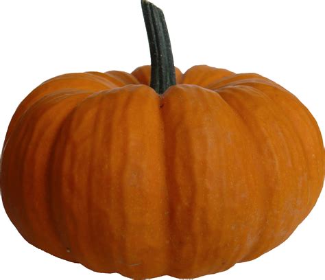 Pumpkin Png Transparent Image Download Size 1898x1635px