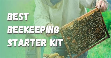 The 6 Best Beekeeping Starter Kit Of 2021