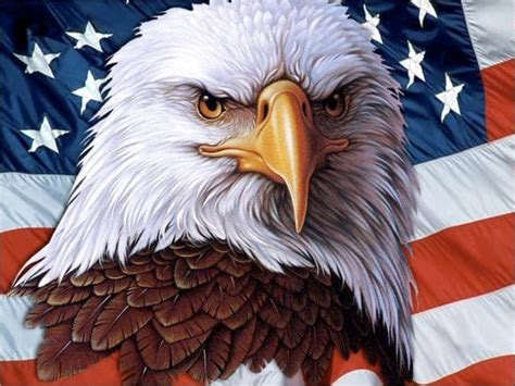 American Bald Eagle With Flag Full Diamond Painting Kit 5d Etsy