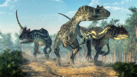 There Were Billions Of T Rexes And 9 Other Things You Never Knew About