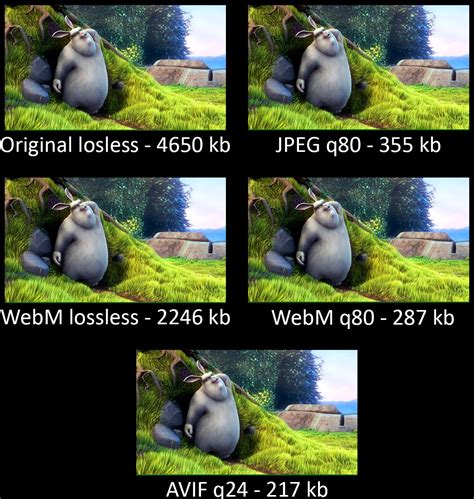Optimizing Your Images For The Web Using Jpeg Webp And Avif In 2021