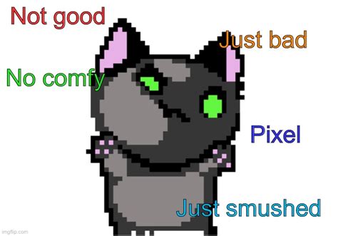 Pixel Cat Imgflip