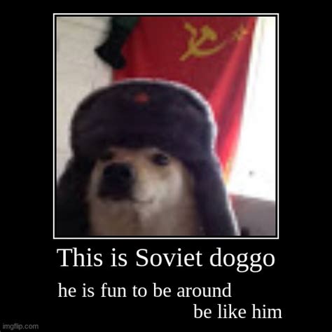 This Is Soviet Doggo Imgflip
