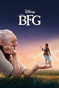 The BFG (2016) - Posters — The Movie Database (TMDB)