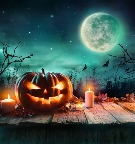 Halloween Pumpkin In A Spooky Forest At Night Stock Photo Image Of