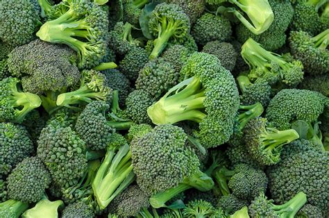 Carbs In Broccoli And Other Nutritional Info Kiss My Keto Blog