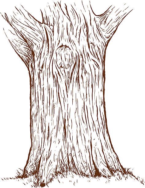 Tree Bark Illustrations Royalty Free Vector Graphics And Clip Art Istock