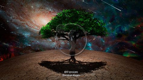 Tree Of Life Sci Fi Art Stocktrek Images